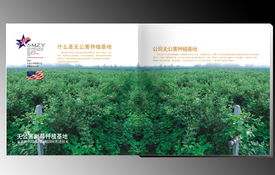 賽尚品牌設(shè)計(jì) 河南鄭州專業(yè)品牌策劃與軟件開發(fā)服務(wù)